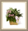 Fairfield Flowers & Gifts, 940 Highway 99 N, Eugene, OR 97402, (541)_689-8807